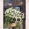 Thuan Buom Xuoi Gio11tr